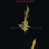 The Wedding Dice by The Flesh Eaters