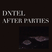 After Parties by Dntel