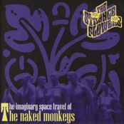 The Imaginary Space Travel Of The Naked Monkeys