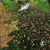 Planning For Burial: When Summer Turns to Fall