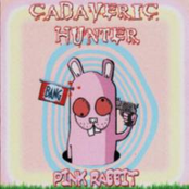 Pink Rabbit (2005)