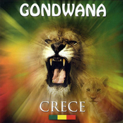 Gondwana: Crece