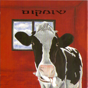 Aviv Geffen: Nowhere