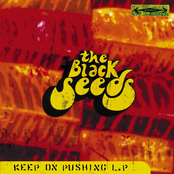 The Black Seeds: Keep On Pushing