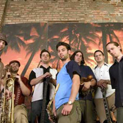 chicago afrobeat project