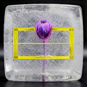 YEAR 000.000.001 Vol. VII (Part I)