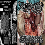 Fetophagia/Spurcitia Split