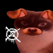 Päül Pöt - Gato Cachorro