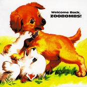 welcome back, zoobombs