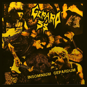 Insomnium Gepárdum