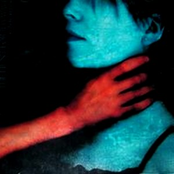 To Have and to Hold, to Choke Untill Cold [EP]