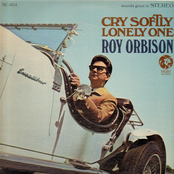 Only Alive by Roy Orbison