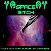 Space Bitch: Music For Spacewalks and Starsex