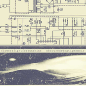 Split with Obscured Wingtip Memoir