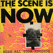 Permanance 800 by The Scene Is Now