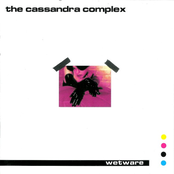 Twice As Good (apop Sexy Disco Mix) by The Cassandra Complex