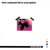 The Cassandra Complex – Wetware