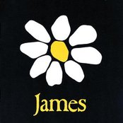 James - James Artwork