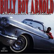 I Ain't Got You by Billy Boy Arnold