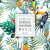 Sensual Background Music, Vol. 4