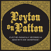 Some Happy Days by The Reverend Peyton's Big Damn Band