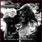 Prawda rodzi nienawiść