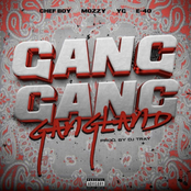 Gang Gang Gangland