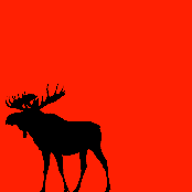 Raco