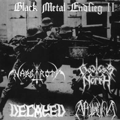 Black Metal Endsieg II