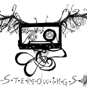 Stereowings