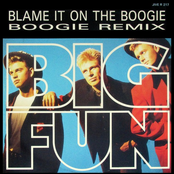 Blame It on the Boogie
