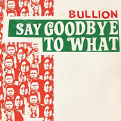 Say Goodbye To What by Bullion