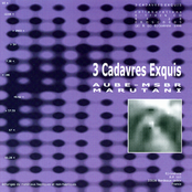 3 Cadavres Exquis
