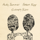 Entropy Pulse - Single