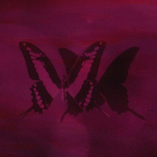 Yo Creí Que Eras Mi Amiga