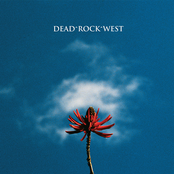 Dead Rock West: Honey And Salt