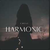 Harmonic Chest