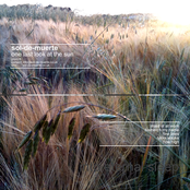 One Last Look At The Sun