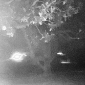 welcome to the party