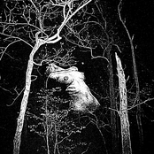 Labyrinth of Nightmares