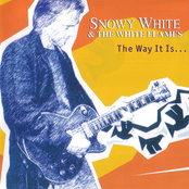 Bird Of Paradise by Snowy White & The White Flames