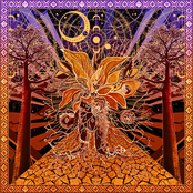 Seeds, Roots, Flowers And Fruits DECOMPOSED