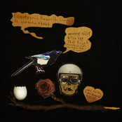 Magpie Billy & The Egg that Yolked(A Study of the Northern Ape in Love)
