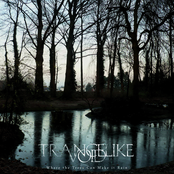 Where the Trees Can Make It Rain (EP)