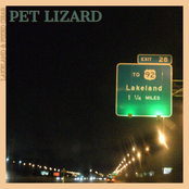 Pet Lizard: Lakeland & Fixed Gear