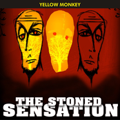 the stoned sensation