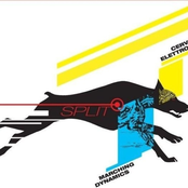 Shutter and Cross Yourself / Animalism