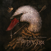 Long Stay In The Darkness - A Tribute to My Dying Bride