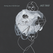 Shooting Stars In My Blind Spot