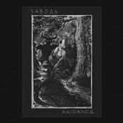 Axidance & Заводь (Split)
